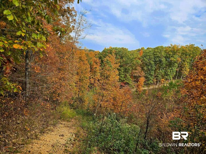 Property Photo: 0 County Road 79 AL 36577