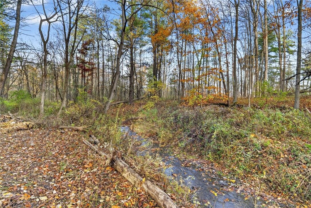 Property Photo:  00 Burdick Hill Road  NY 14850 