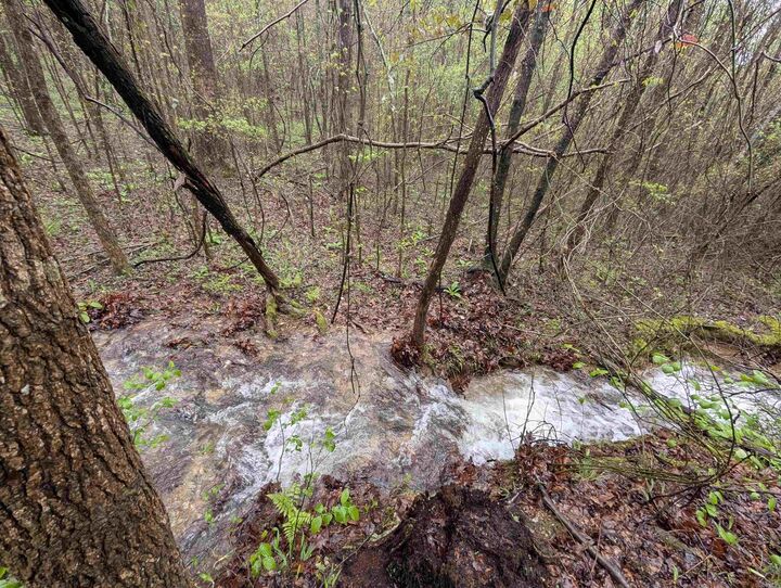 Property Photo:  383B Massey Lane  AR 71953 