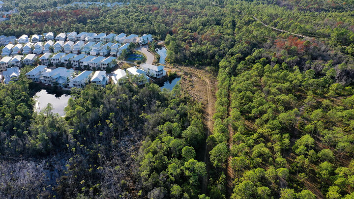 Property Photo:  398 Flatwoods Forest Loop  FL 32459 