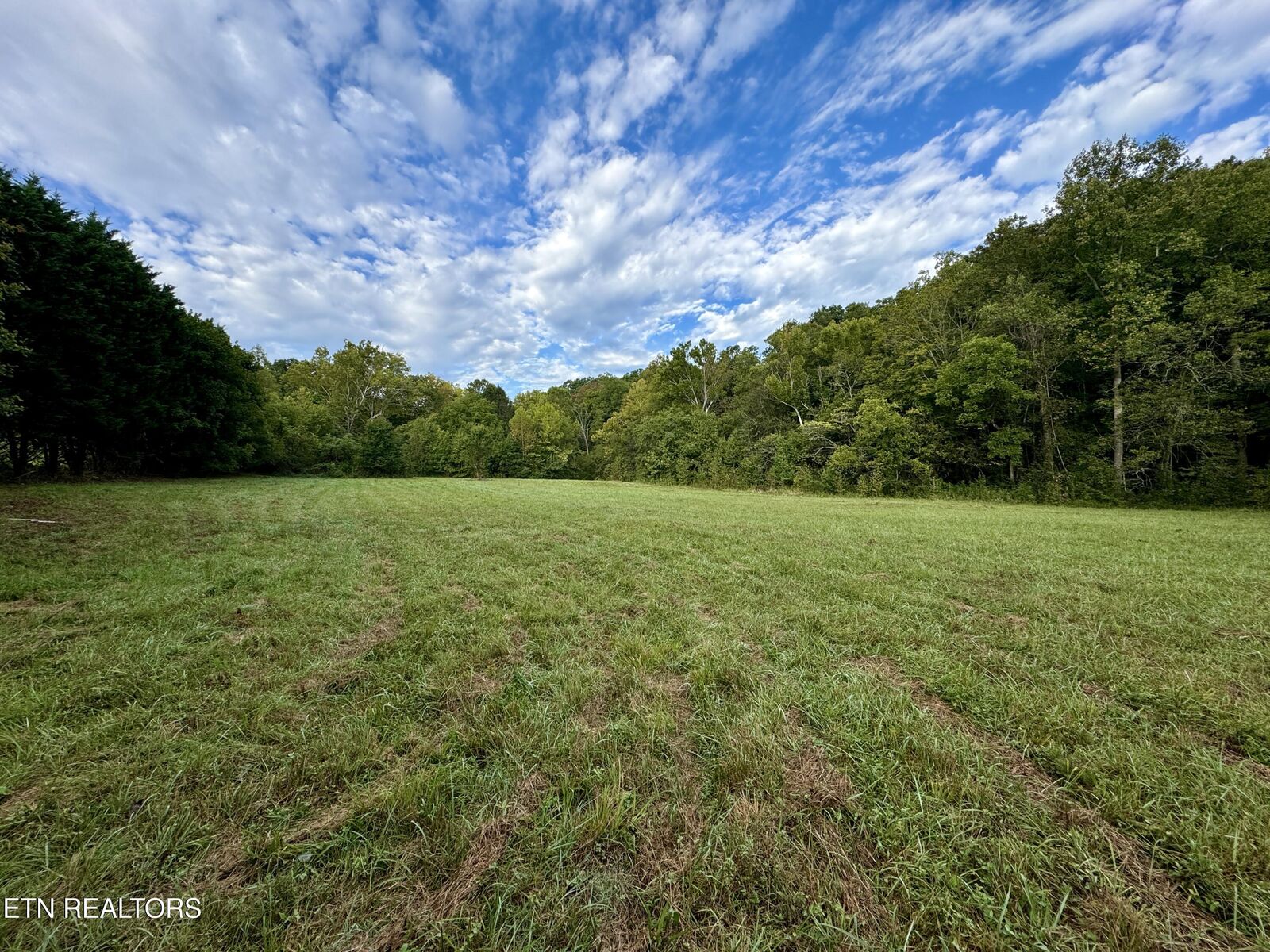 Property Photo:  148 Cate Rd  TN 37763 