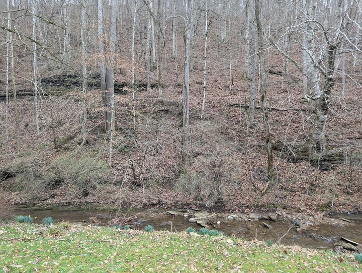Property Photo: 456 Arnetts Fork Road KY 40914