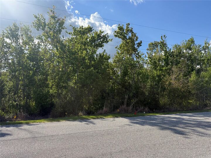 Property Photo:  Gadson Street  FL 34736 