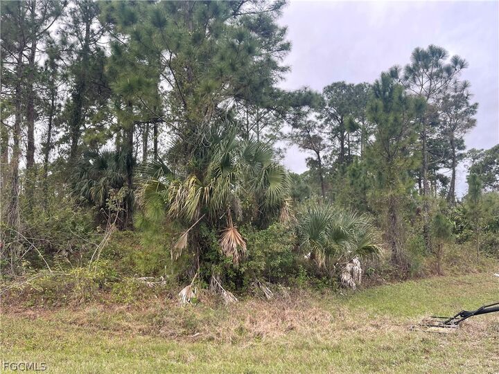 Property Photo:  8004 Royal Court  FL 33935 