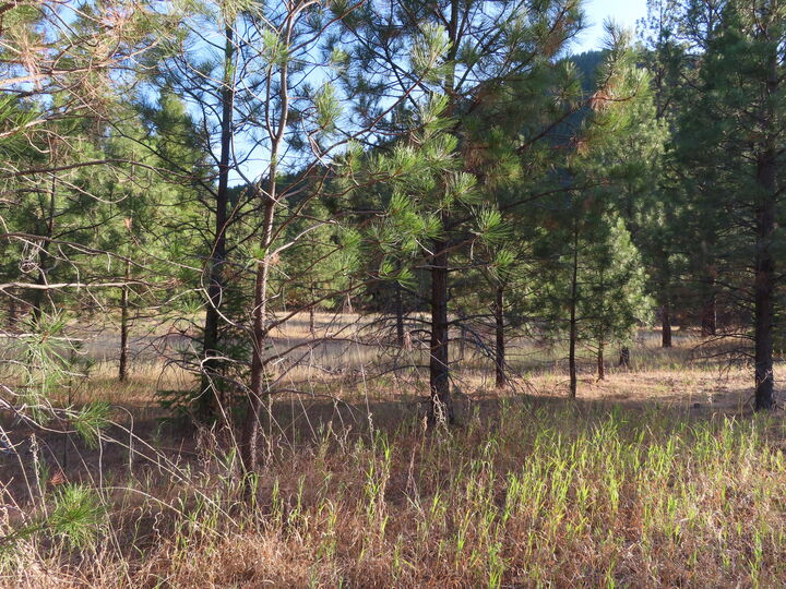 Property Photo:  111 Toroda Creek Rd  WA 99118 