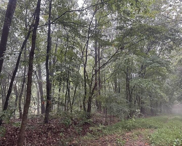 Property Photo:  Clover Lane  AR 72756 