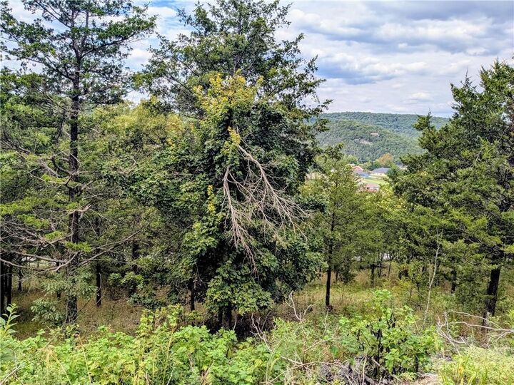 Property Photo:  Tbd Holiday Island  AR 72631 