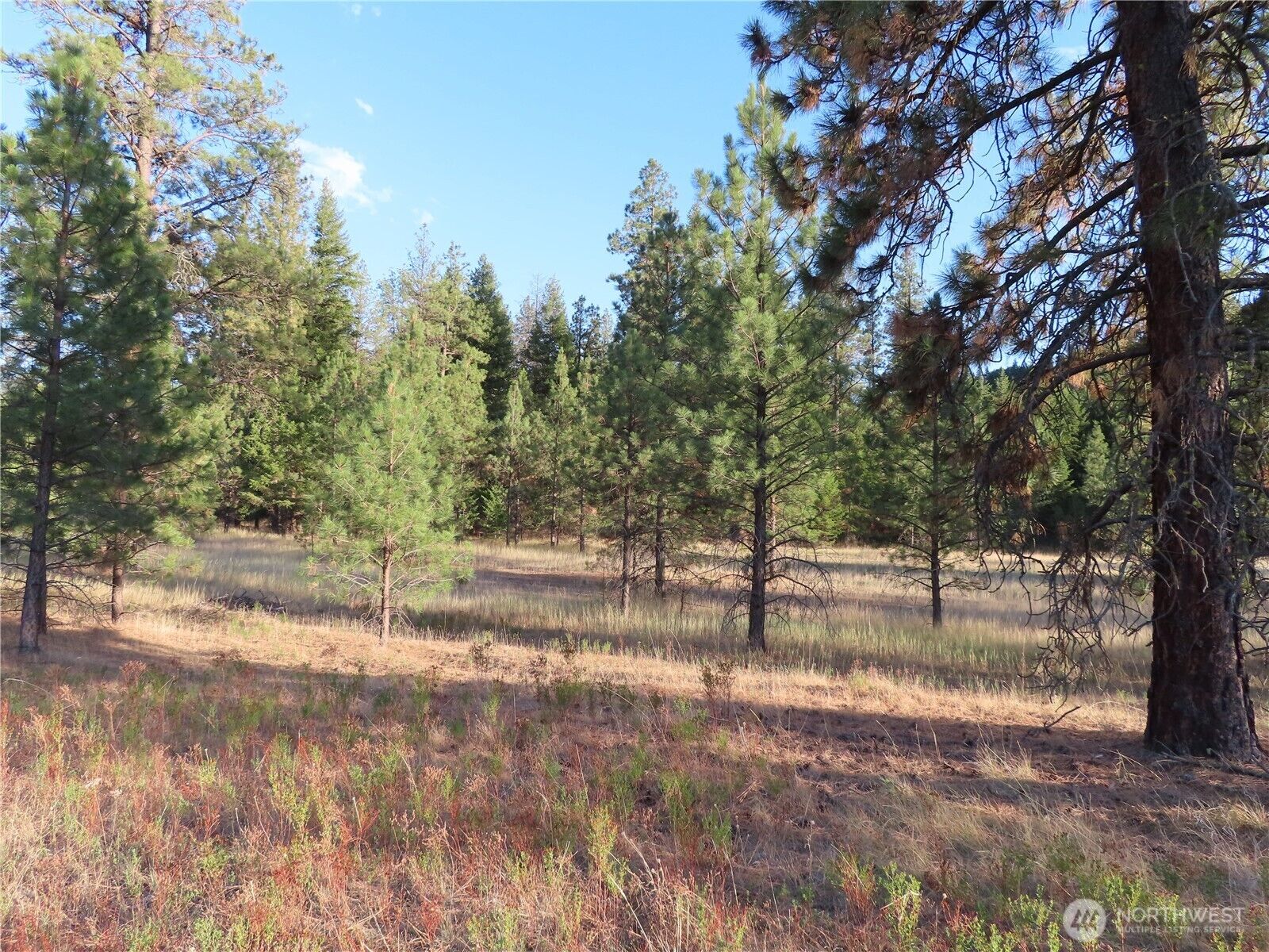 Property Photo:  0  Toroda Creek Road  WA 99118 