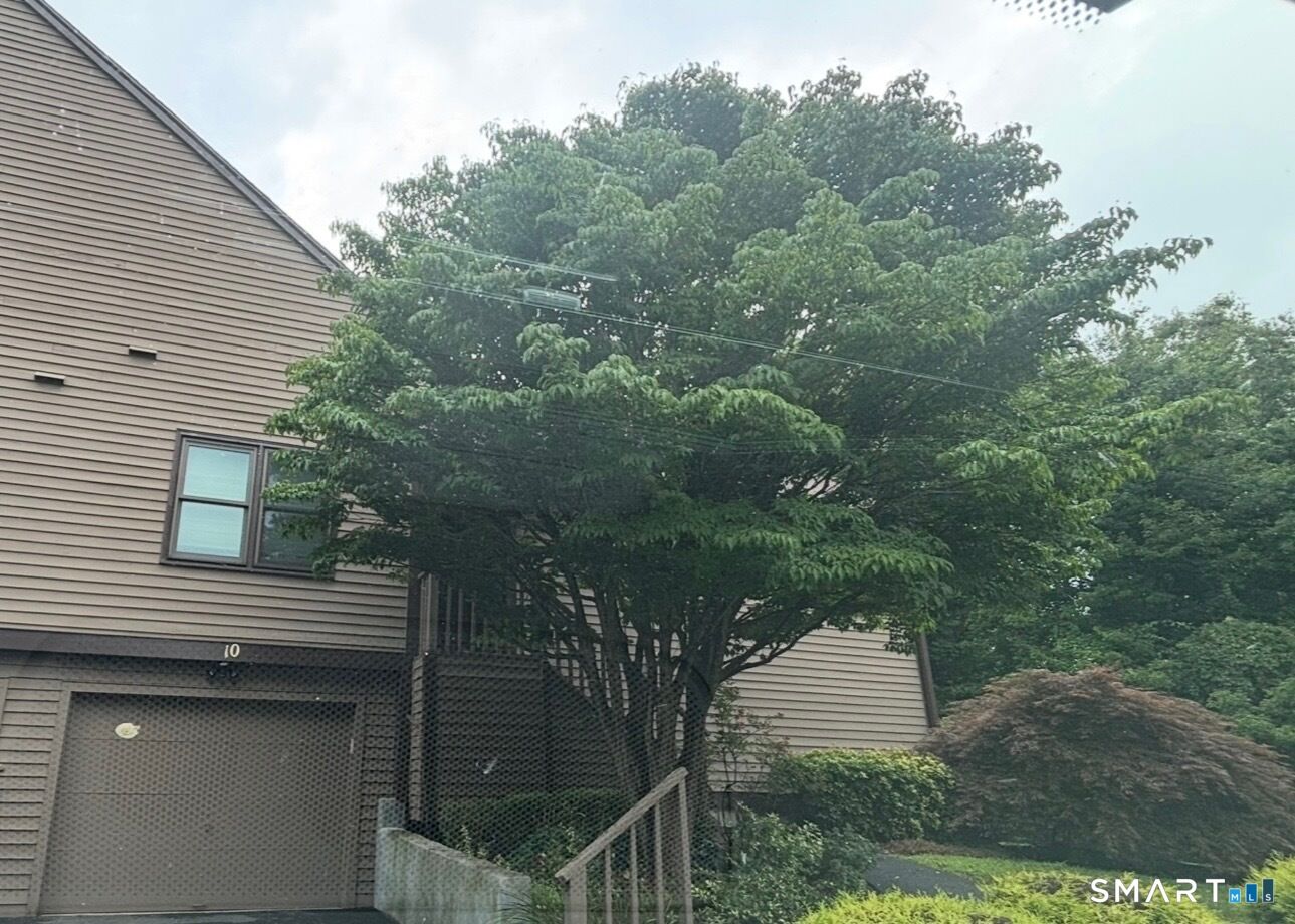 Property Photo:  10 Juniper Circle 10  CT 06468 