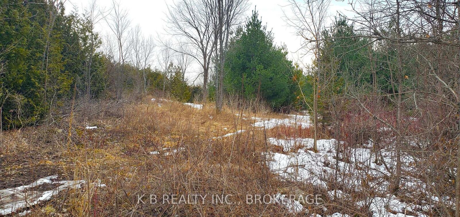 Property Photo:  344 Adair Road  ON K0K 3G0 