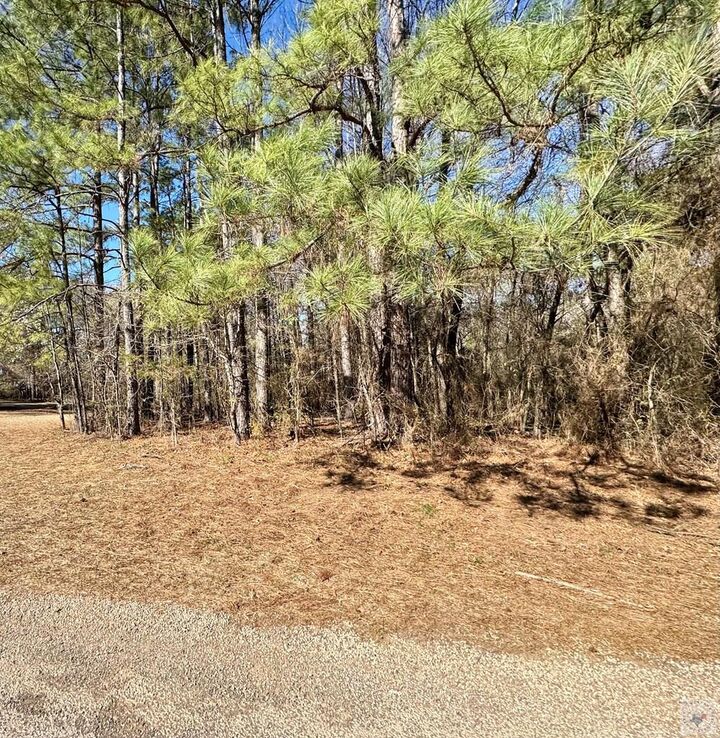 Property Photo:  506 Pecan  TX 75567 