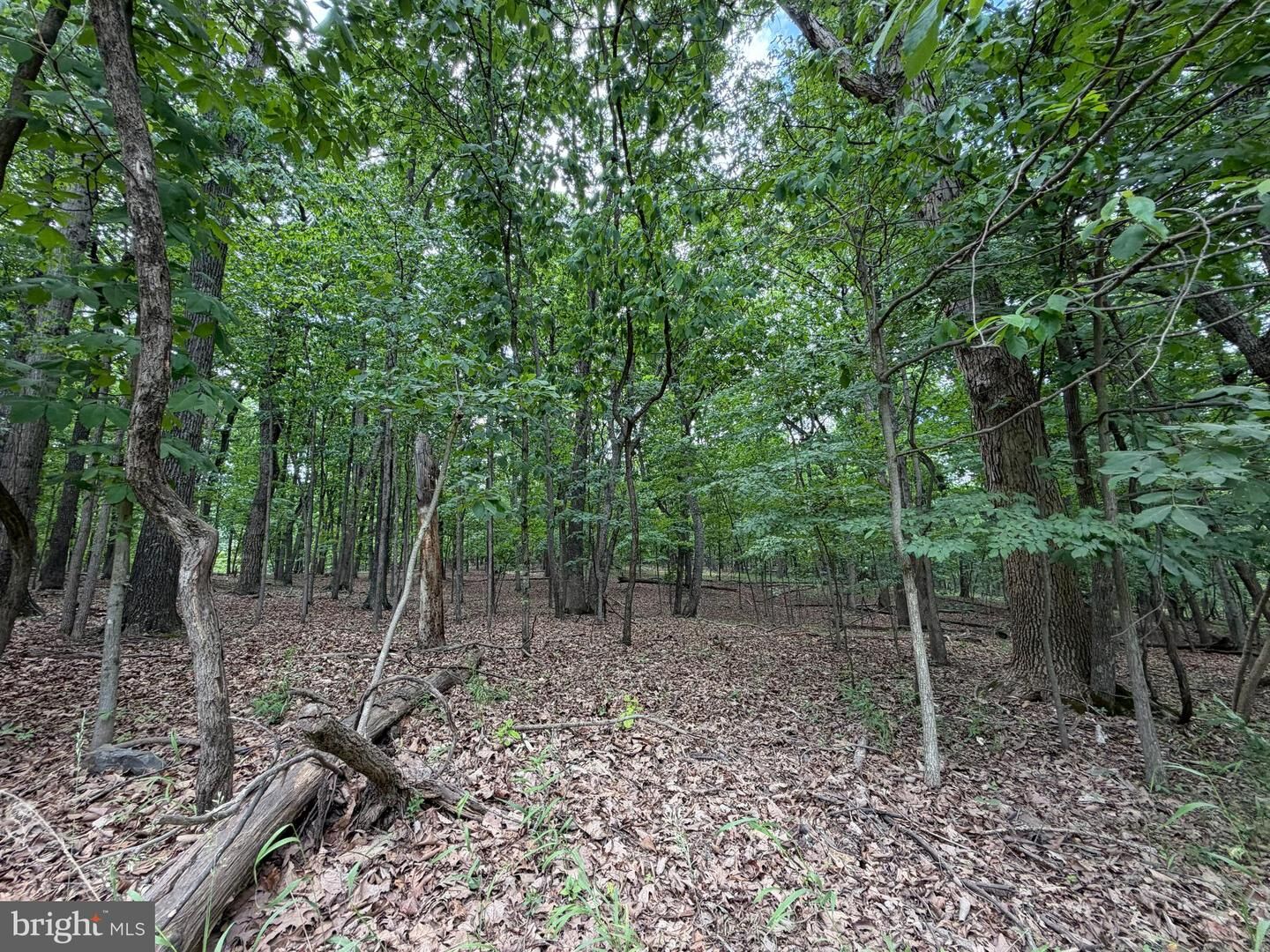 Property Photo:  Logger Drive Lot 82  VA 22637 