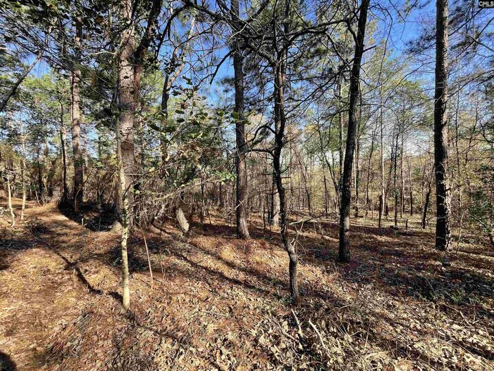 Property Photo:  0 Green Hills  SC 29054 