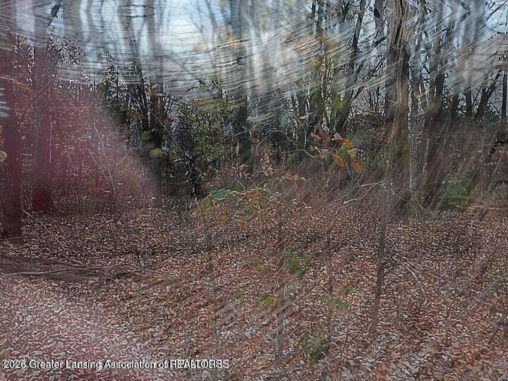 Property Photo:  0 Beechwood Dr  MI 48895 