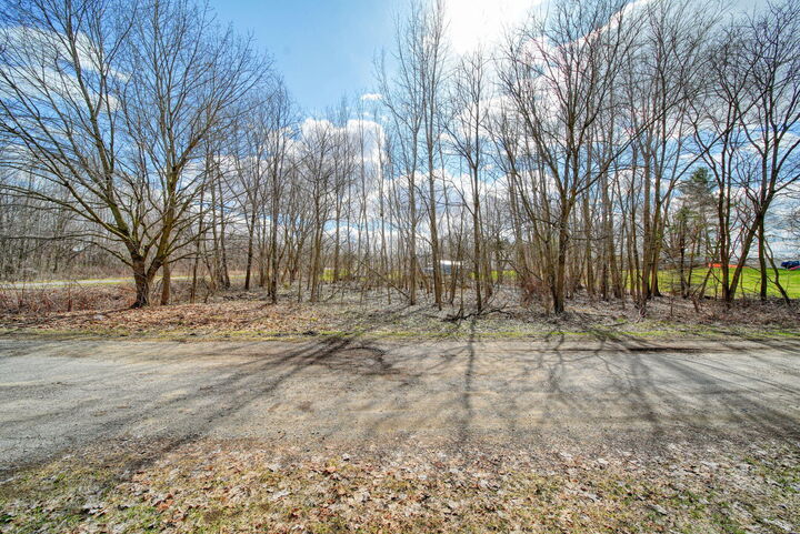 Property Photo:  136 E Water Street  MI 49245 