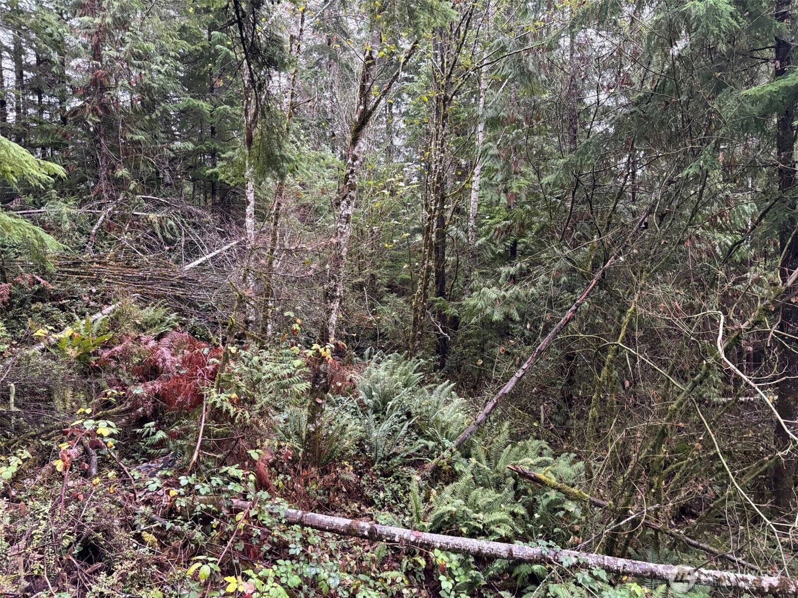 Property Photo: 999 N Lake Cushman Drive WA 98548