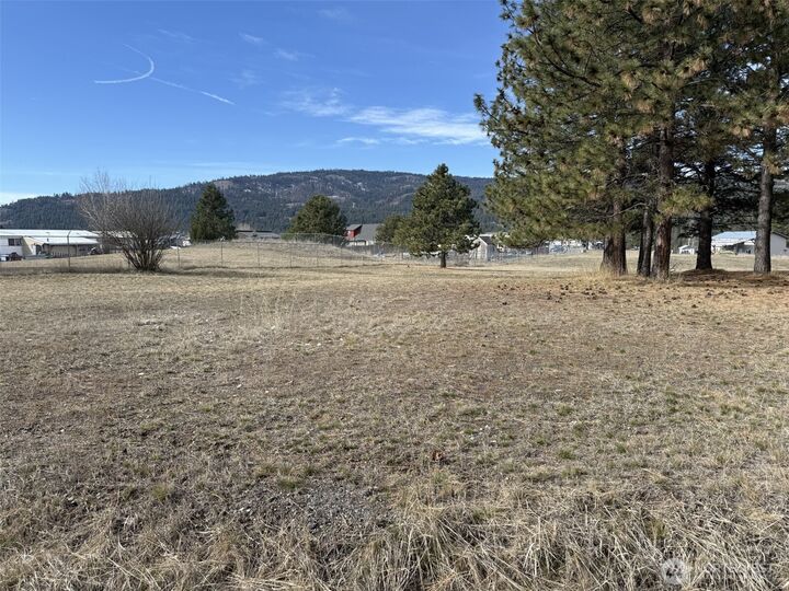 Property Photo:  0 Lot 55  Heron Loop Road  WA 99166 
