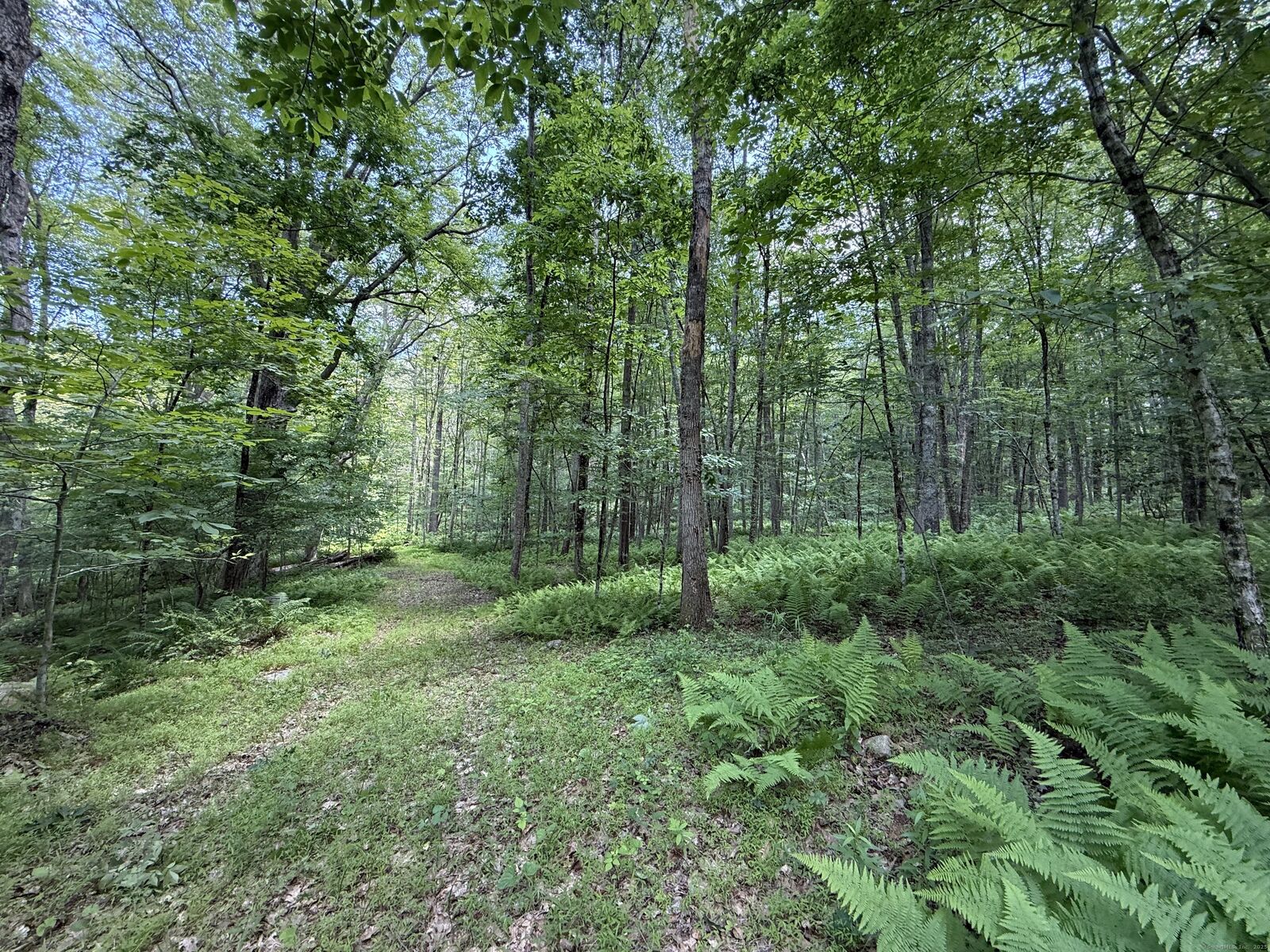 Property Photo:  350 Breakneck Hill Road  CT 06241 