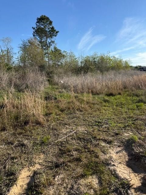 Property Photo:  653 Road 5816  TX 77327 