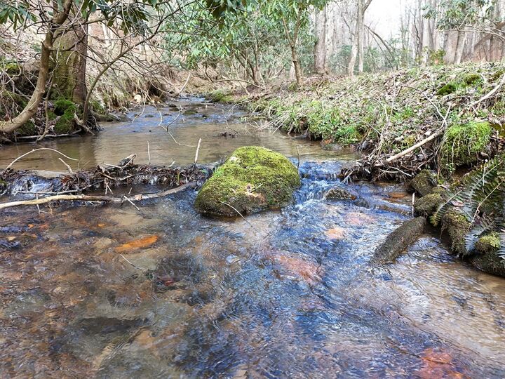 Property Photo:  Lot 44A Synacia Drive  GA 30559 