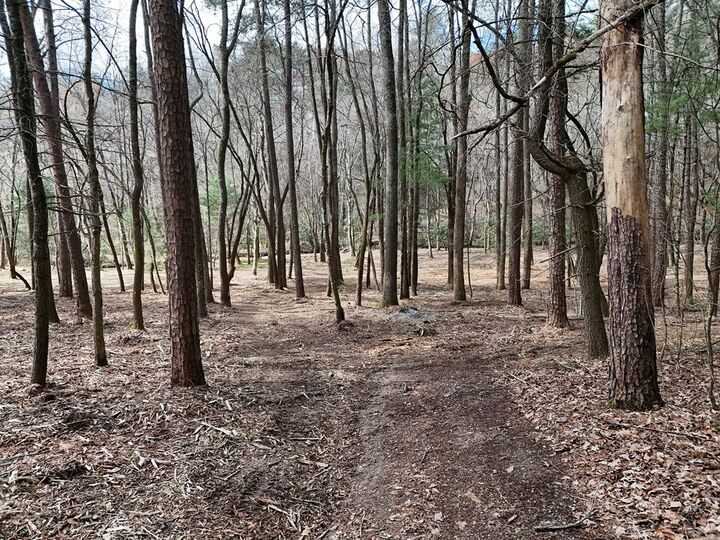 Property Photo: Lot 45B Synacia Drive GA 30559