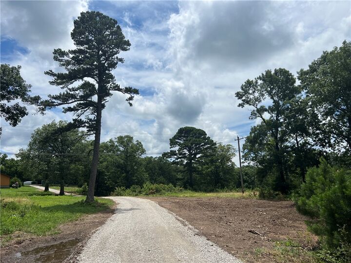 Property Photo: Tbd Highway 23 AR 72631