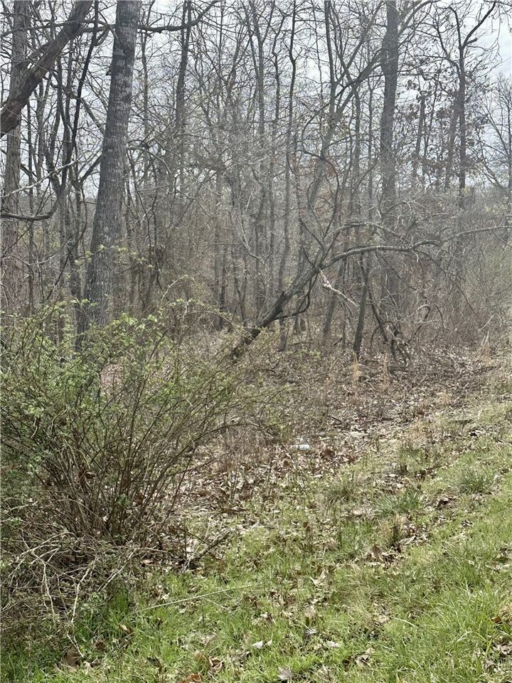 Property Photo:  000 Aberdeen Drive  AR 72715 