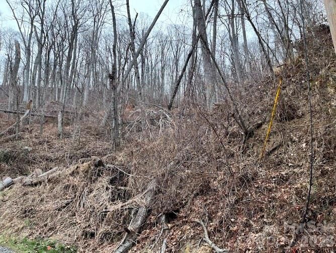 Property Photo:  65 Weeping Cherry Forest Road  NC 28730 