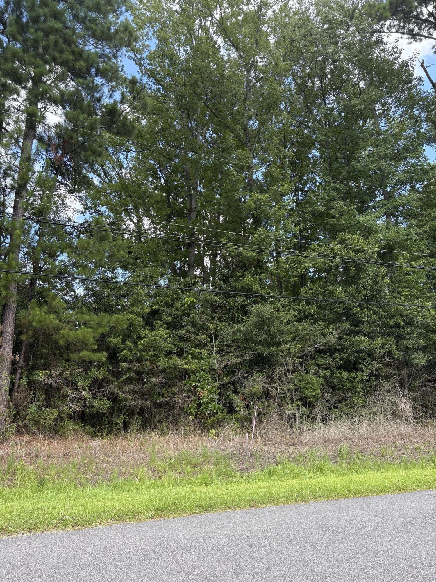 Property Photo:  0 University Drive Lot 190  SC 29418 