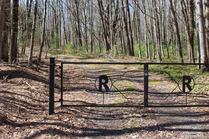 Property Photo:  154 Britman Road  NY 12762 