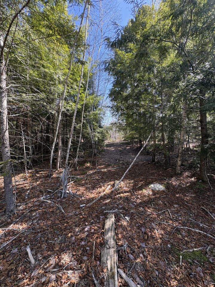 Property Photo: Lot 116 Bass Overlook ME 04605