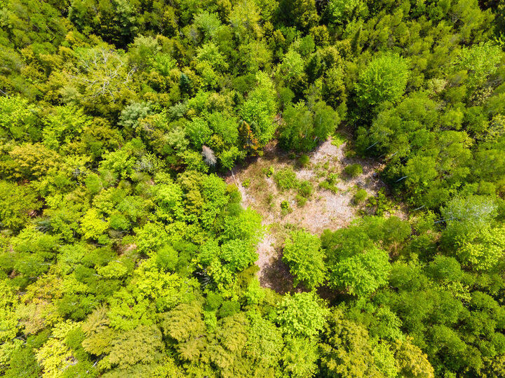 Property Photo: Lot 116 Bass Overlook ME 04605