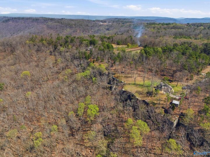 Property Photo:  8.03 Acres Bluff Lane  AL 35754 