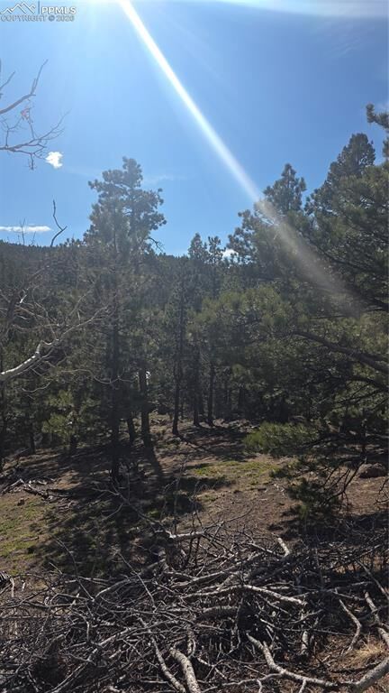 Property Photo: 169 Osoeola Road CO 80863