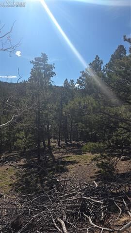 Property Photo:  169 Osoeola Road  CO 80863 