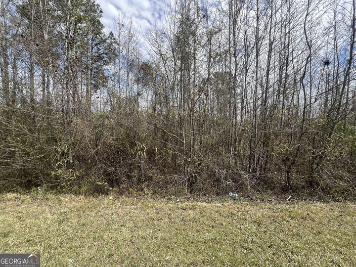 Property Photo: 0 Marshall Church Road GA 30824