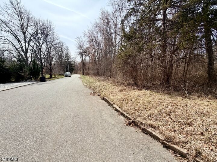 Property Photo: 10 Loantaka Ln NJ 07960