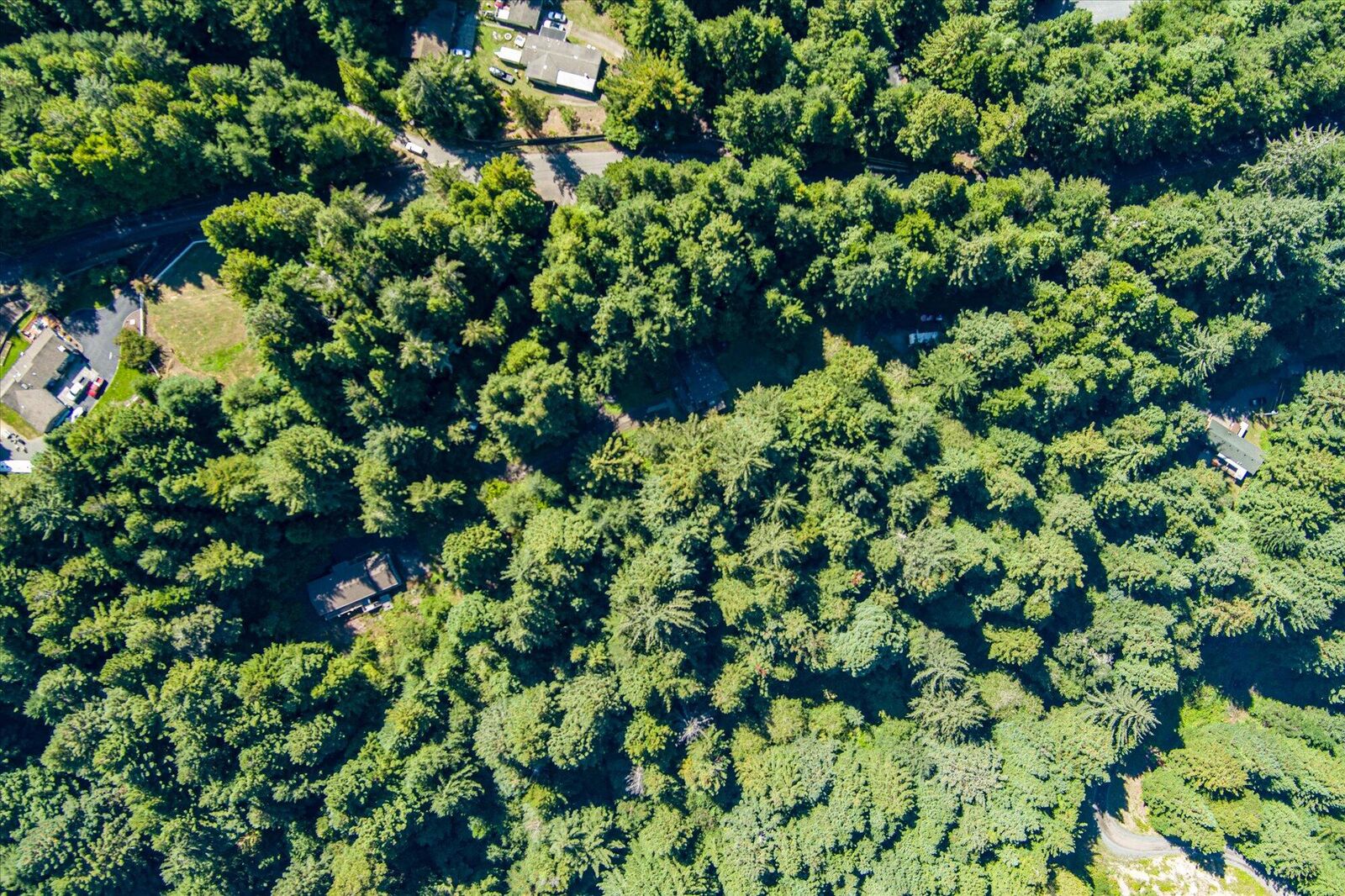 Property Photo:  5423 Cummings Road  CA 95503 