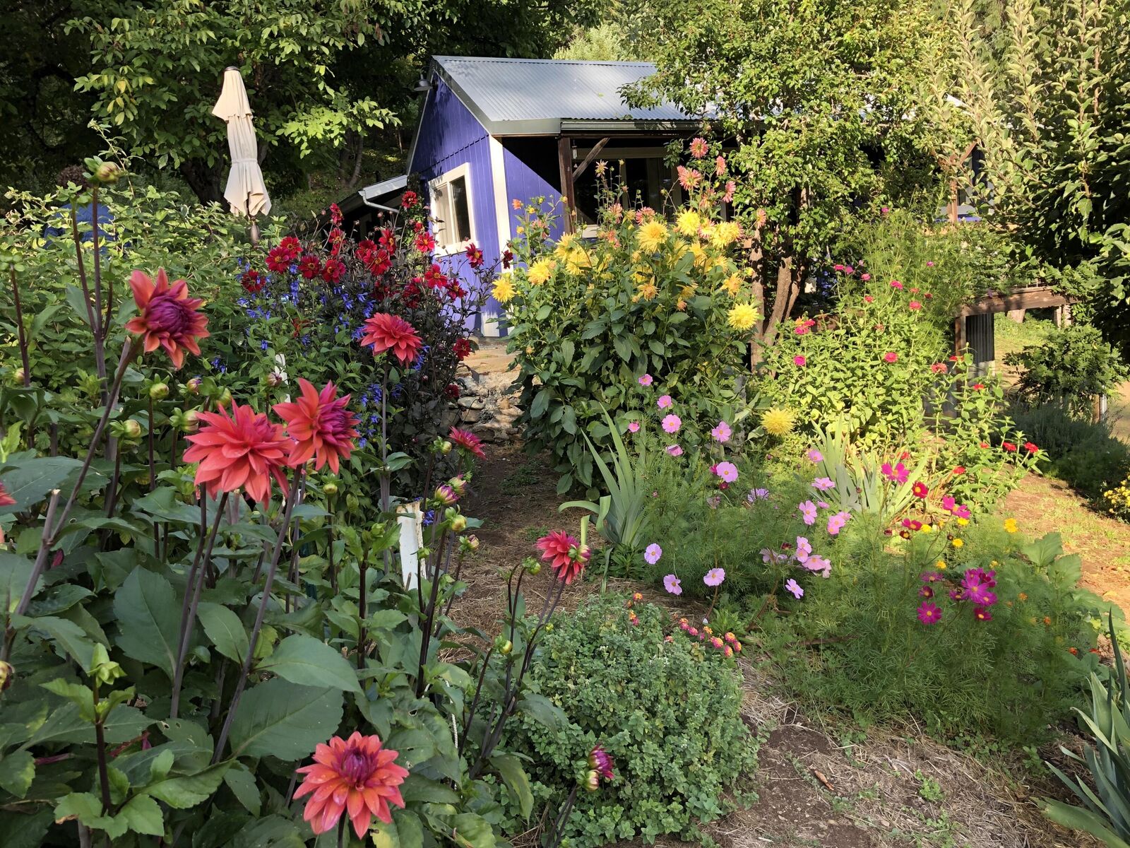 Property Photo:  787 Owl Mine Road  CA 95556 