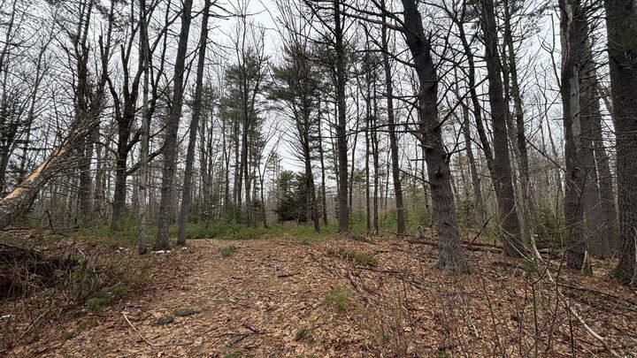 Property Photo: 74 Mountain Road ME 04579