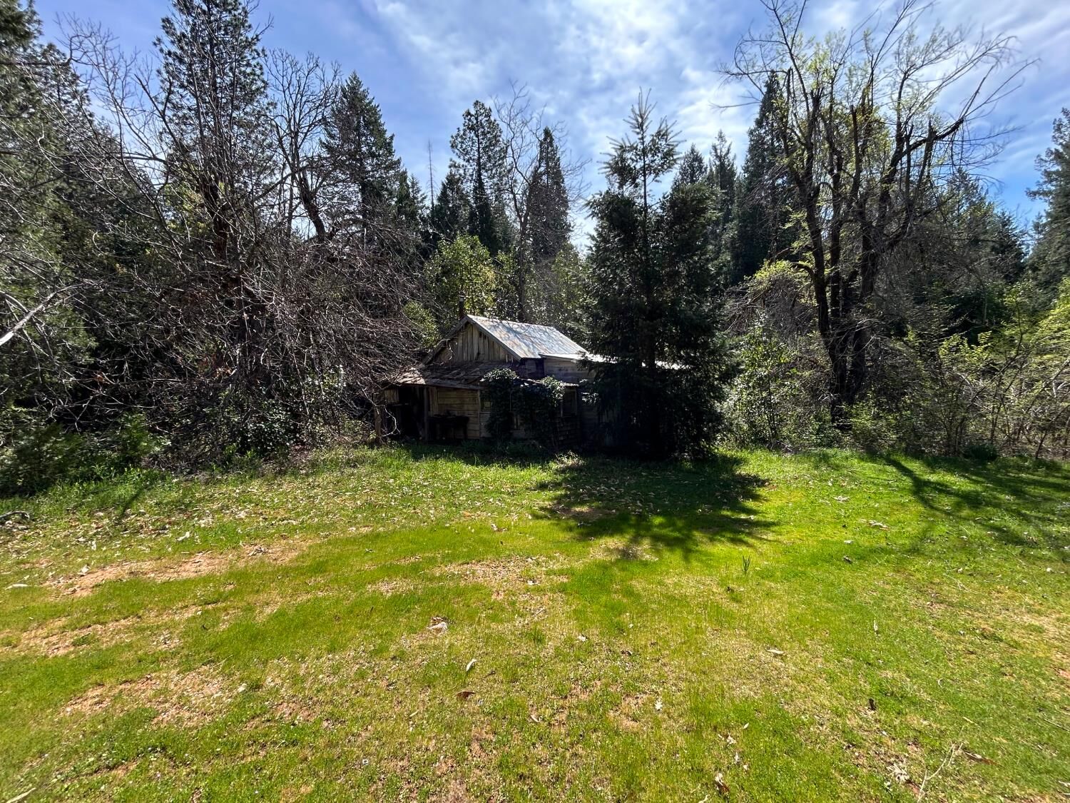 Property Photo:  12483 Willow Valley Road  CA 95959 