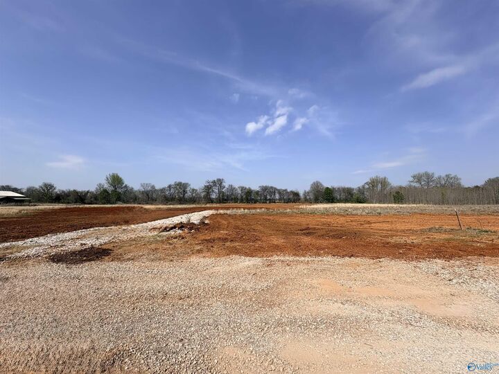 Property Photo:  23671 Old Homeplace Way  AL 35613 