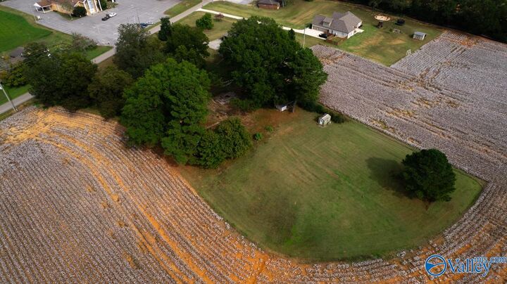 Property Photo:  142 County Lake Road  AL 35761 