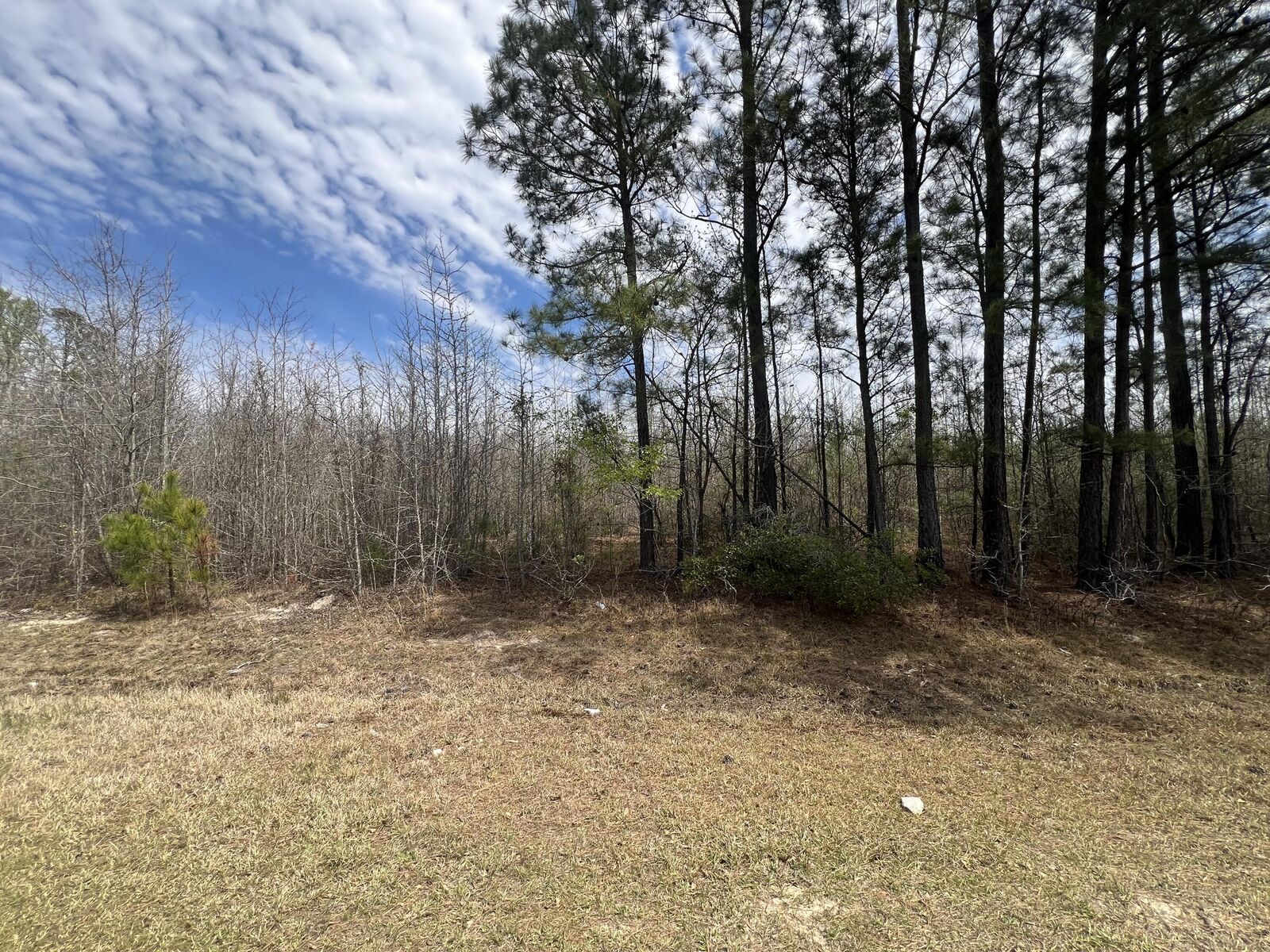 Property Photo: 0 Marshall Church Road GA 30824