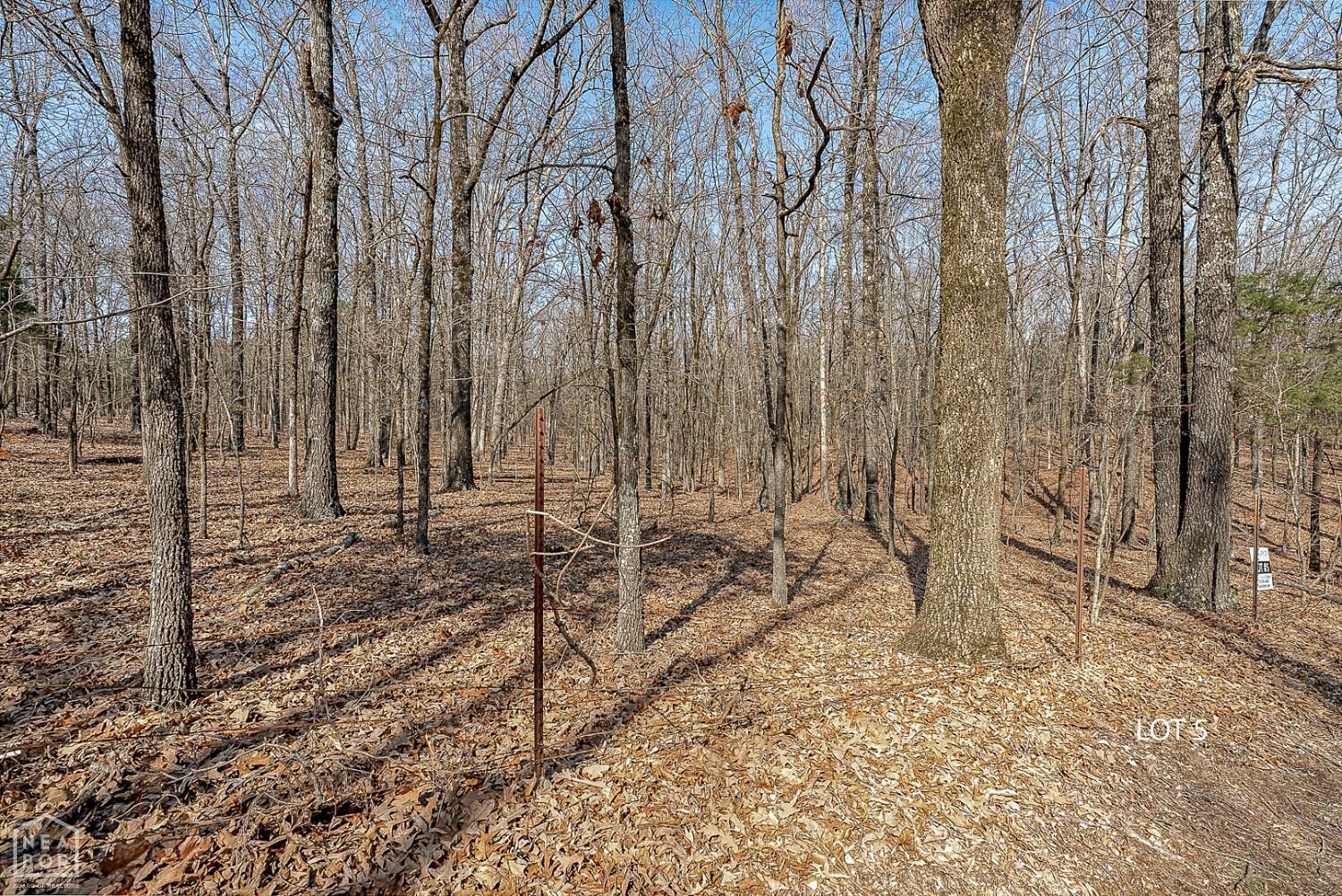 Property Photo:  5 Highway 351  AR 72405 