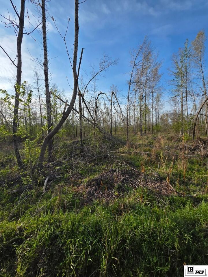 Property Photo: 0 Carey Smith Road LA 71259