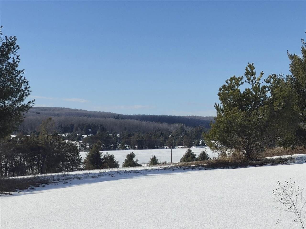Property Photo:  5850 Deer Run  MI 49740 