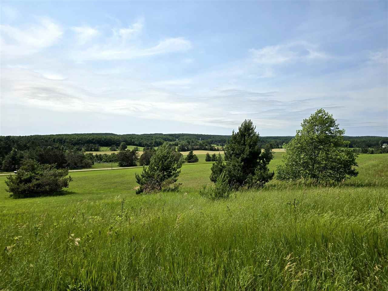 Property Photo: 5850 Deer Run MI 49740