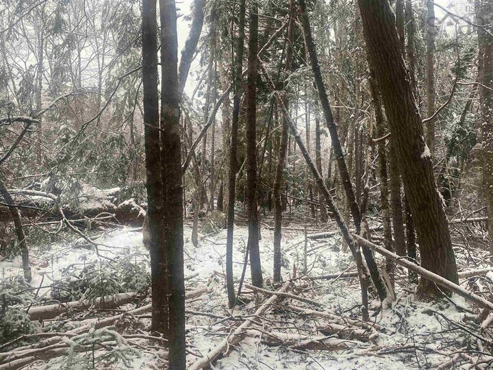 Property Photo: Lot 9 Highway 357 NS B0J 2L0