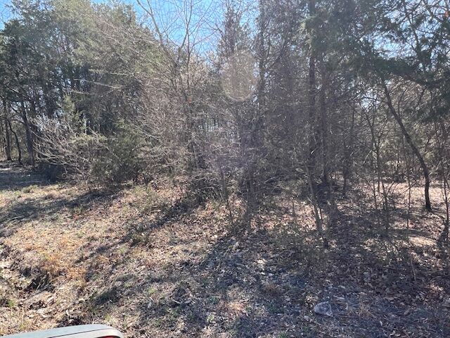 Property Photo:  24 Arapahoe Drive  AR 72631 